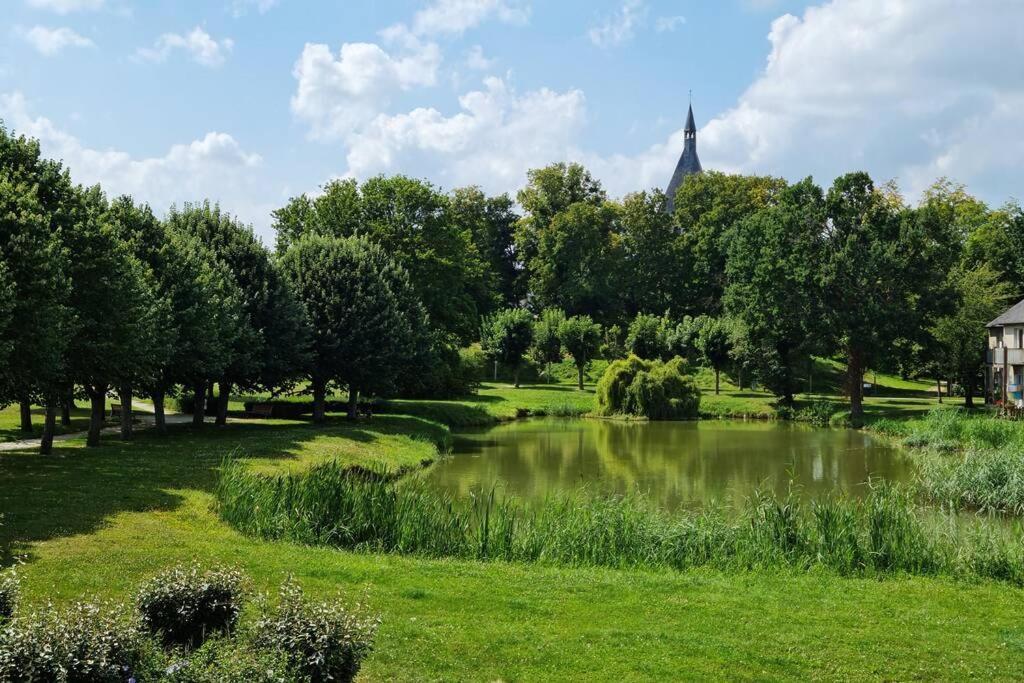 Maison Centre De Bellegarde Avec Jardin Et Terrasse Equipee D'Un Salon De Jardin Et D'Un Barbecue Cuisine Equipee 3 Chambres Avec 2 Lits Double 140X190 Et 2 Lits Simple Chauffage Poele A Granules Parking Gratuit Devant La Maison Bellegarde-du-Loiret Exterior foto